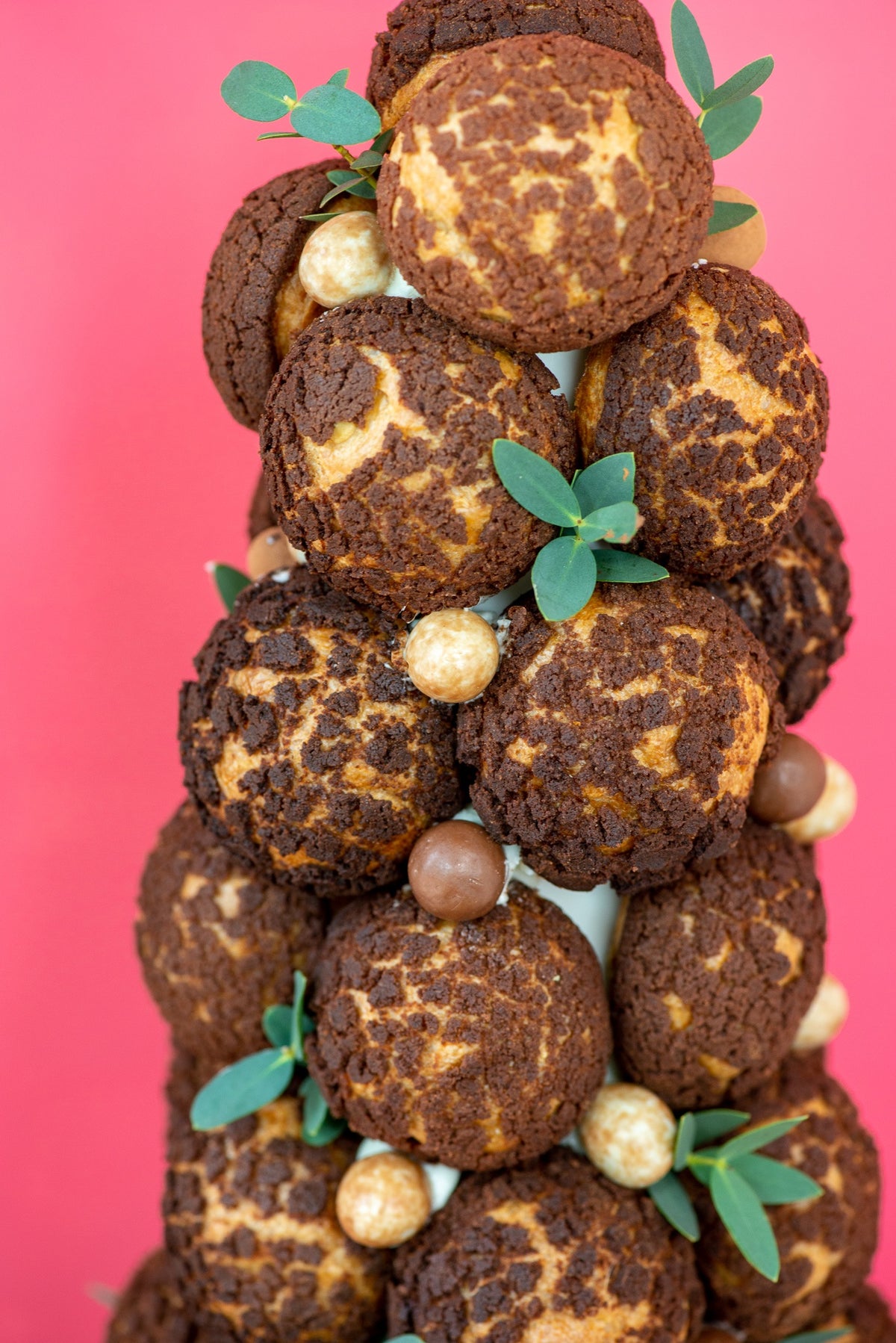 cream puff trees – Creme Cream Puffs